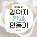 댕댕이루 | 창원 펫빌리지 댕댕이 돌봄교실 후기 - 반려견 한과 만들기