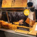 위치스틱 이미지