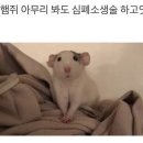 거령(주) 이미지