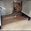 도봉-현장-서울도봉-1495 이미지