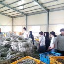 강구중학교 이미지