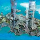 구름기둥 이미지