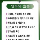 한국안마센터 이미지