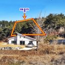 충남조경 Daum카페