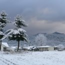 안미초등학교 이미지