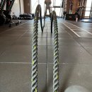 바카티오 이미지