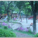 남한산초등학교 이미지