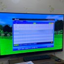홀컵3스크린골프 이미지