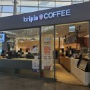 울산역 KTX 당일 승차권 10% 할인 카페 &#39;카페 트리핀 울산역점&#39; 내돈내산후기
