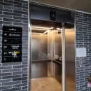 아마존펫 이미지