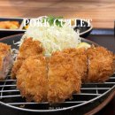 청량리 롯데백화점 식당 돈카츠 모모야 추천