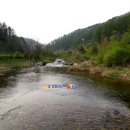 진동계곡마을 이미지