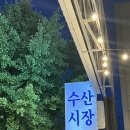 울산 삼산 술집 신선한 회를 먹을 수 있는 해물포차 수산시장 다녀 온 내돈내산 후기