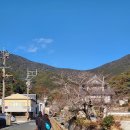 소몰슈퍼 | 부산-대마도 2박3일 여행 3일차: 가네이시 성터 → 반쇼인 → 티아라 몰 → 히타카츠항