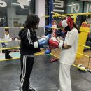 MADE BOXING 이미지