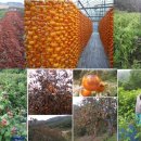 민하영농조합법인 이미지