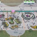 국제행정 이미지