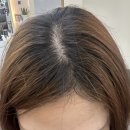 라이룸헤어 이미지