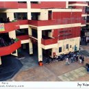 안녕고양이 이미지