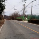 청주가축인공수정소 티스토리