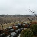 상평초등학교 이미지