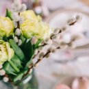 버들네일
