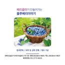 영농조합법인 베리줌마 | HACCP인증받은 유기농블루베리 베리줌마 이야기