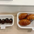 투흐티 이미지