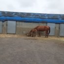 동복마을운동장 이미지