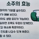 소주의 효능 이미지