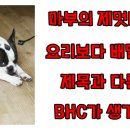 BHC반송반림점 이미지