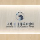 하음 동물병원 네이버블로그