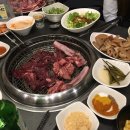 불타는갈매기 이미지