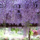 기안초등학교 이미지