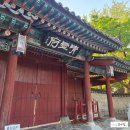 제바위세천 | 남원 광한루원 야경 6시 이후 무료 입장으로 걷는 저녁 산책 코스 후기