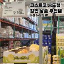 코스트코 송도점 할인상품 6월 넷째주~7월 첫째주 세일 추천템(6월26일 방문)