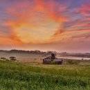 여명목장 이미지