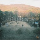 이성군묘 이미지