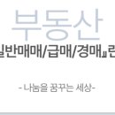 부린이의부동산경매 이미지