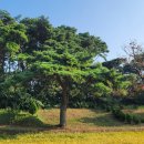 마서농장 이미지