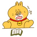 캐릭터그루밍
