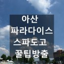 덕산키즈어린이집 | 아산 파라다이스 스파도고 꿀팁 후기