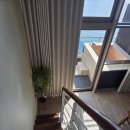 더 마루 이미지