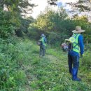 서면행정복지센터 이미지