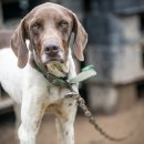 점진농장 이미지