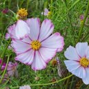 행정사사무실 이미지