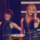 옌 차이나 이미지