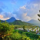 서윤농장 이미지