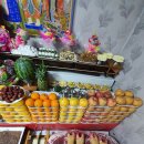 별하 짐 이미지