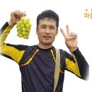 포도원 이미지
